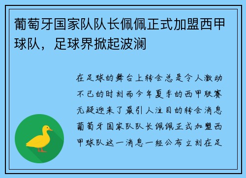 葡萄牙国家队队长佩佩正式加盟西甲球队，足球界掀起波澜